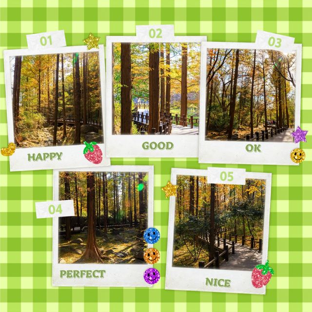 剛泉山郡立公園 ⛰️🌲自然奇觀🚶🌄
