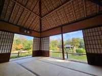 歷史悠久的日本庭園 。桂離宮