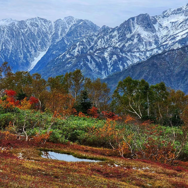 頭輪山道立公園🍁🏔️楓葉飄揚的秋季之美 🍂🌄