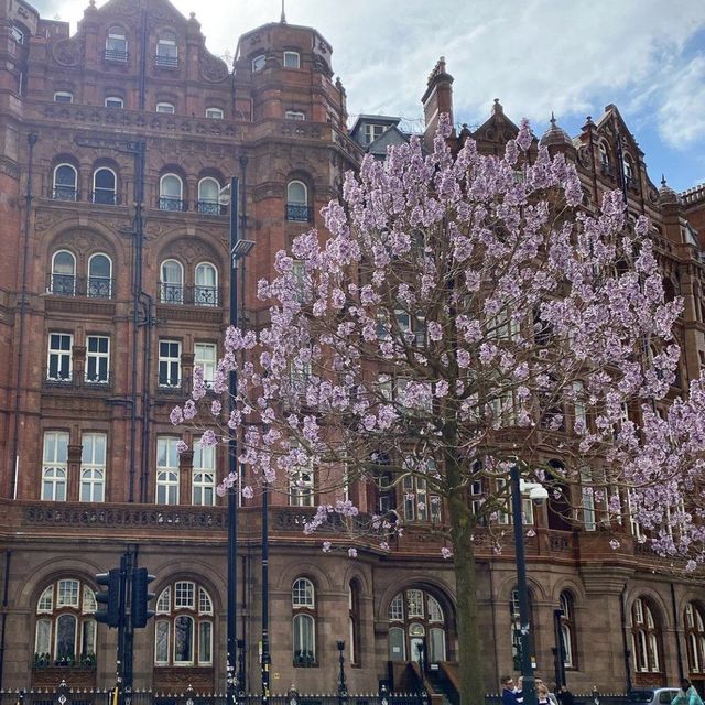 A busy square in the city 