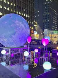 서울 대표 겨울 축제, 빛초롱축제💡