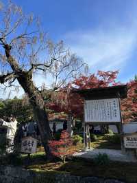 《不能錯過的圓光寺》