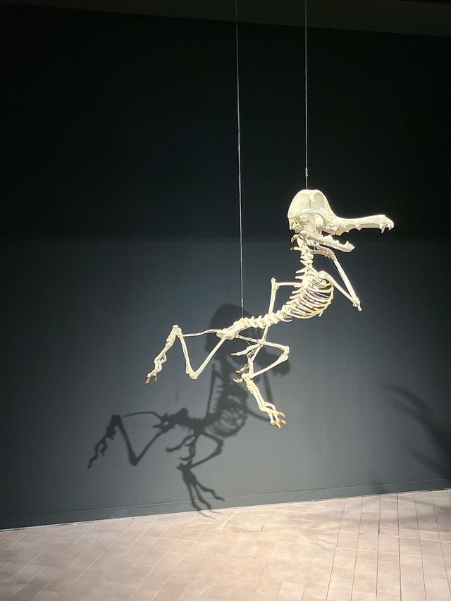 【韓国　梨泰院】アートな美術館