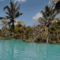 Mandapa Ubud: Jungle Luxury Treetops Resort