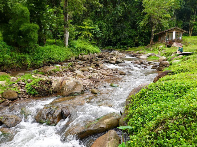 หลงเขา บ่อเกลือ น่าน-Lhong Khao 🍵☕️