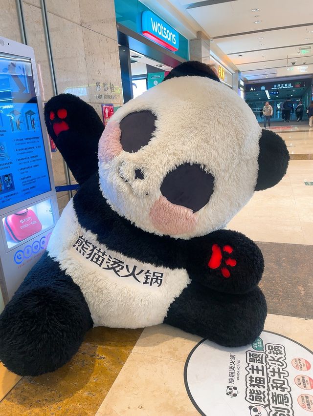 ｛深圳打卡熊貓主題火鍋探店｝