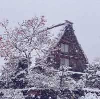大雪中的白川鄉