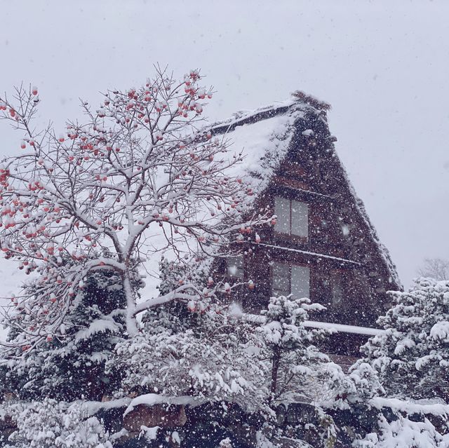 大雪中的白川鄉