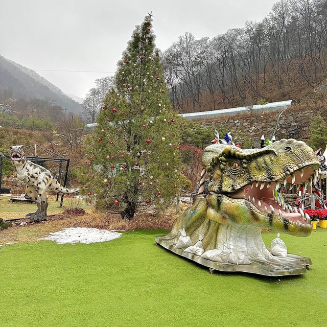 충주 아이들과 가기 좋은 곳❤️