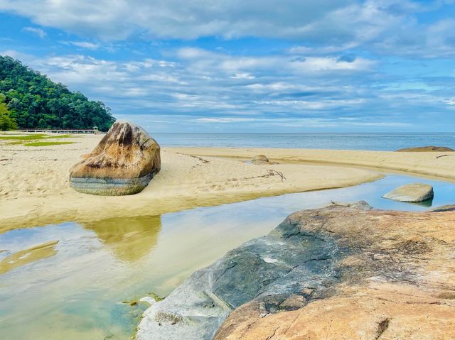 To explore its natural treasures.