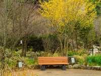Atami Plum Garden