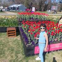 Floriade - Canberra