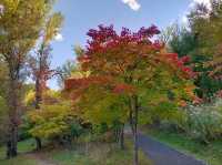Asahiyama Memorial Park 