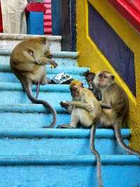 Batu Caves, a must-visit attraction in KL