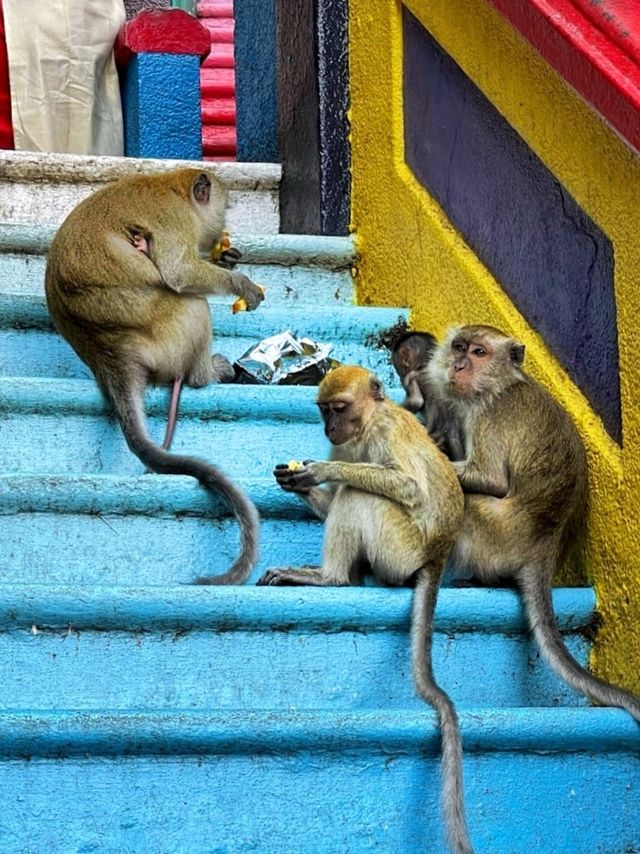 Batu Caves, a must-visit attraction in KL