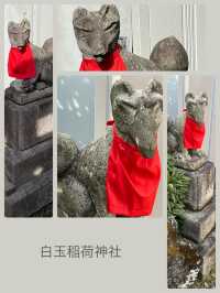 【白玉稲荷神社/東京都】高い塀のような石垣が珍しい神社