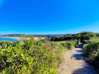 Manly Beach