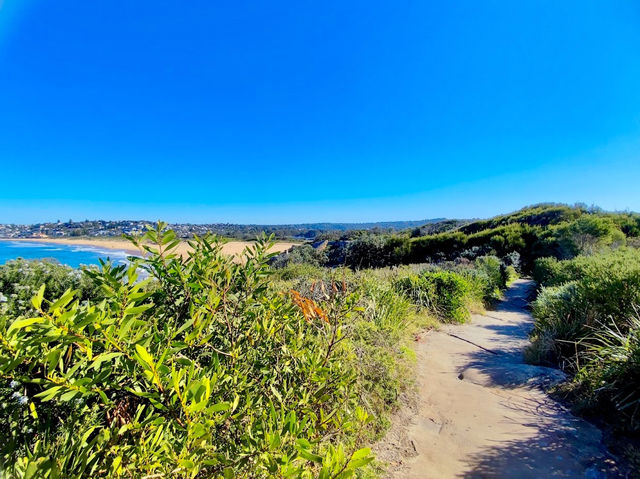 Manly Beach