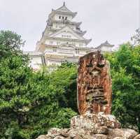 Cherry 🌸 blossoms in Himeji Castle