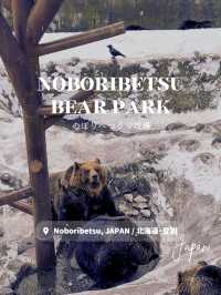 【北海道・登別】のぼりべつクマ牧場