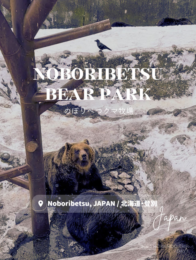 【北海道・登別】のぼりべつクマ牧場