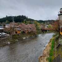 Japan Sakura!