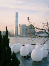 香港teamLab：光漣｜藝術@維港2024期間限定