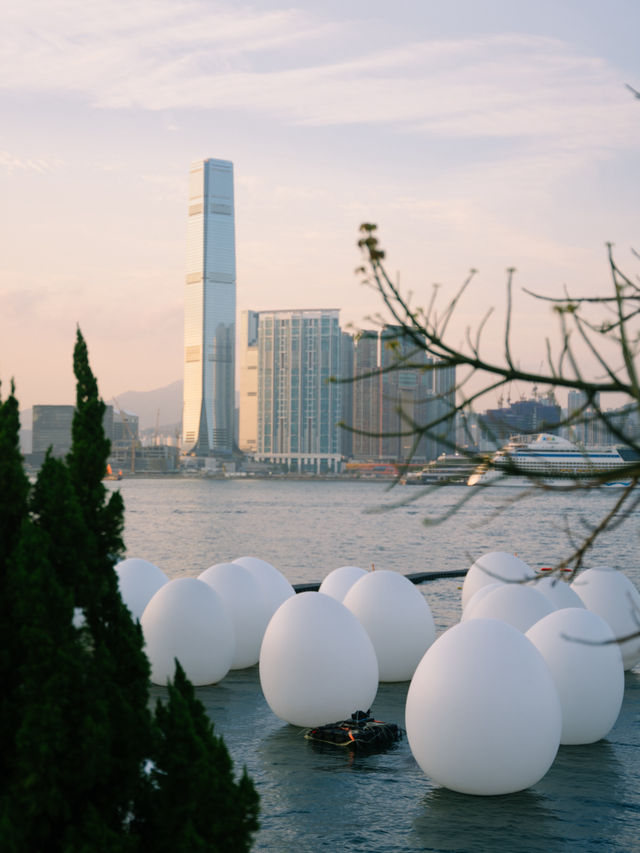 香港teamLab：光漣｜藝術@維港2024期間限定