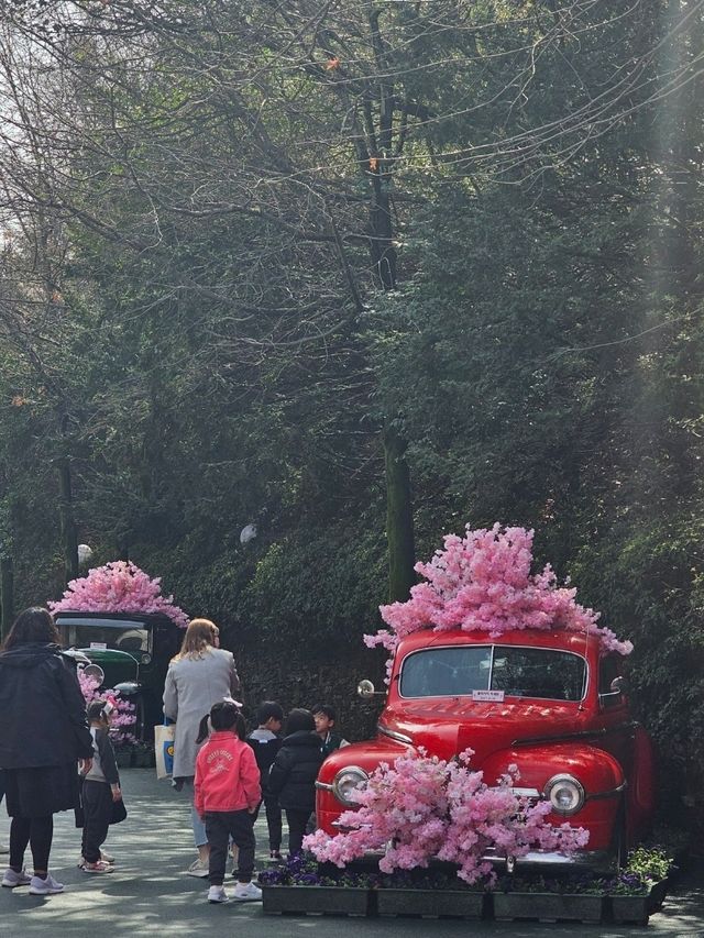 블라썸피크닉에서 봄데이트해요