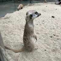 ซาฟารีเวิลด์ (Safari World Bangkok) - สวนสัตว์ในกรุ