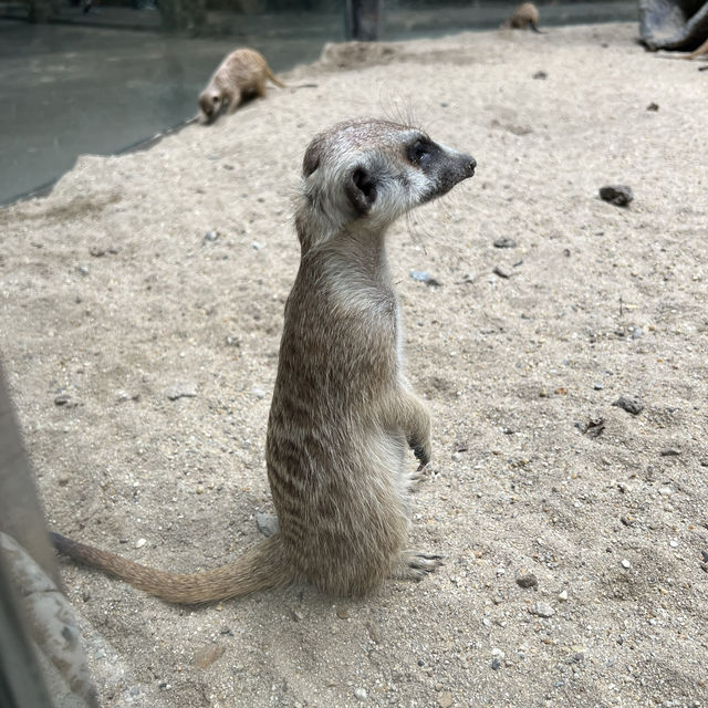 ซาฟารีเวิลด์ (Safari World Bangkok) - สวนสัตว์ในกรุ