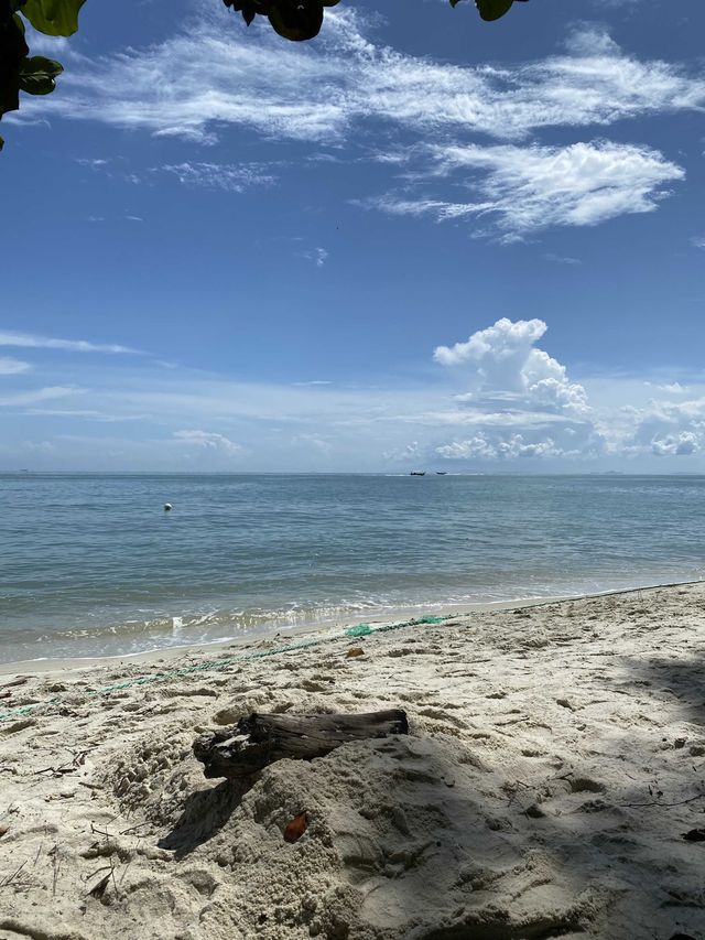 We Hiked Our Way to Monkey Beach, Penang 🇲🇾