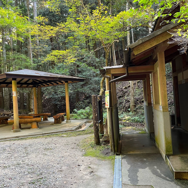 【世界遺産】春日山原始林　〜春日山遊歩道