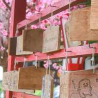 Little Japan in Thailand 
