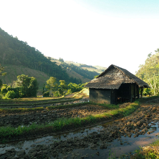 Kowit Farmstay แม่แจ่ม จ.เชียงใหม่ 