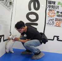 貓癡必去超能貓空間🐱🐈🐈‍⬛