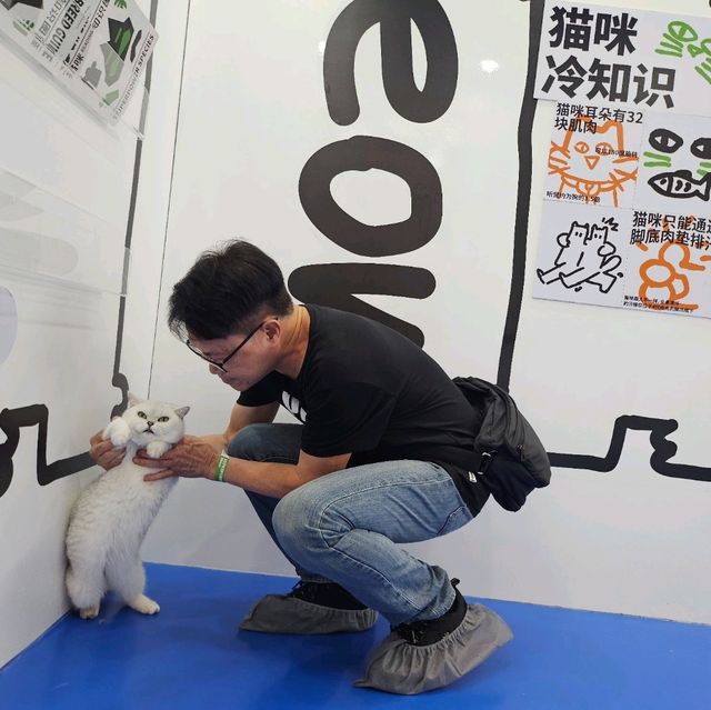 貓癡必去超能貓空間🐱🐈🐈‍⬛
