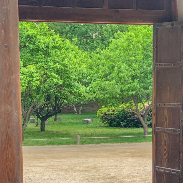 서울의 봄을 만끽하기에 안성맞춤인 경희궁 