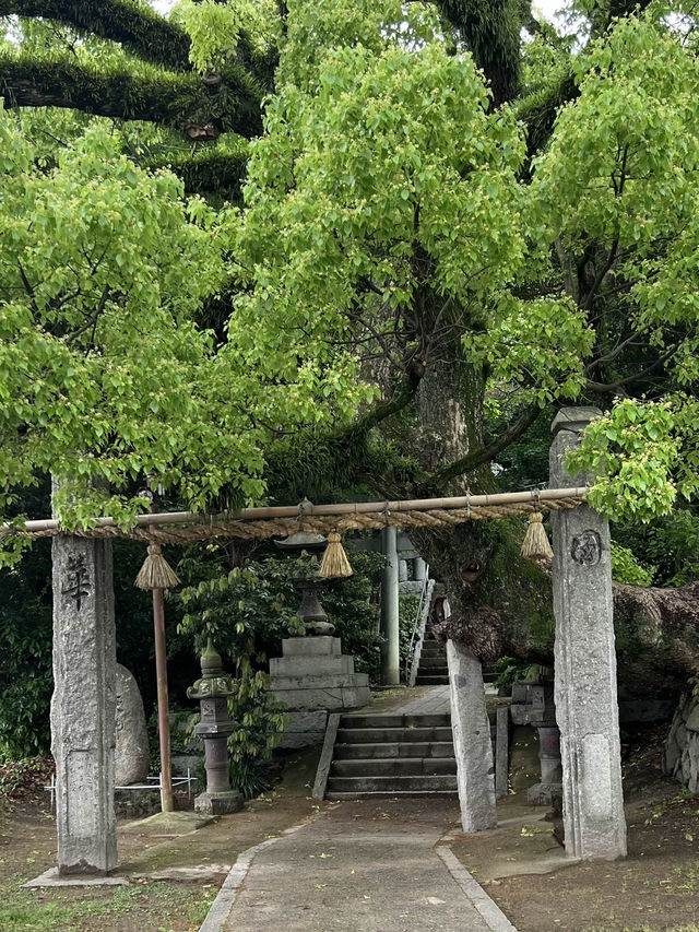 【北九州神社】逆立ちの狛犬がで使えてくれる神社