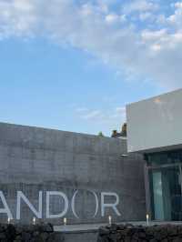 🏡🌳제주_구좌 비자림 카페 안도르(ANDOR)