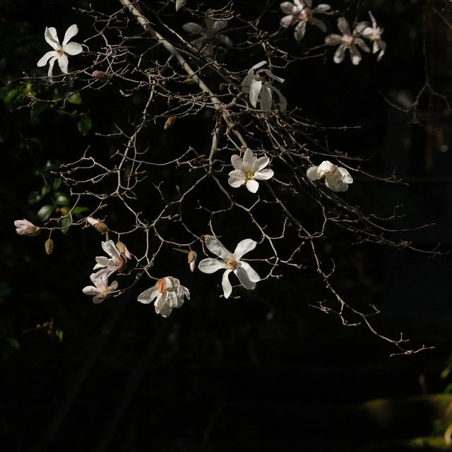 「佑天寺」禪宗寺廟