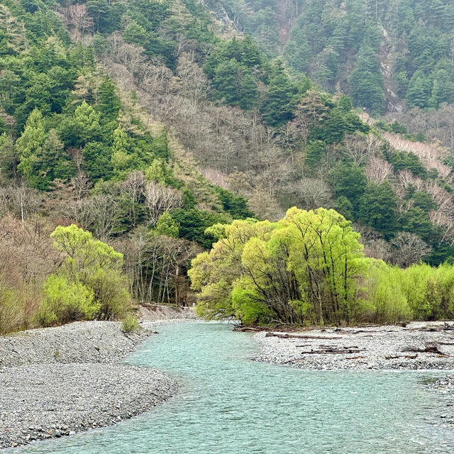 「鈴原濕原：自然畫捲，世外桃源」