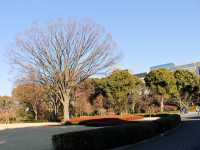 Charming Imperial Palace Garden in Tokyo 🇯🇵