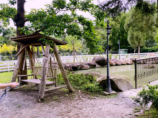 樂吧溪畔-寵物樂園