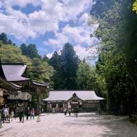 【長野県/ 戸隠の三本杉に囲まれた神秘的な戸隠中社⛩️】