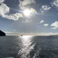 Milford Sound 米爾福德峽灣 游船+皇后鎮巴士來回