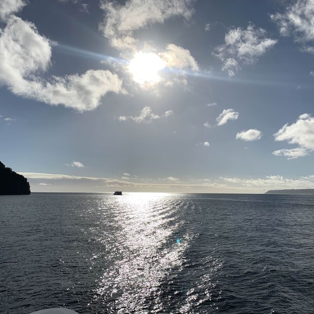 Milford Sound 米爾福德峽灣 游船+皇后鎮巴士來回