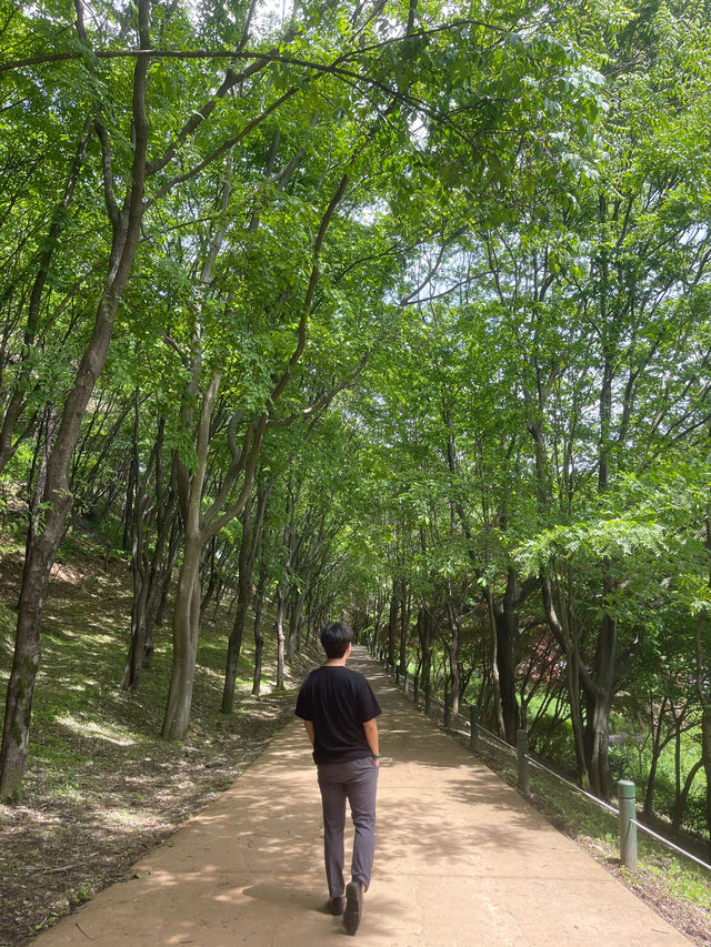 여름 초록 바이브 가득 느낄 수 있는 청주 미동산수목원