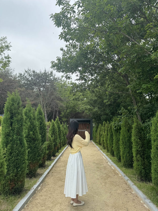 여름철 싱그러움을 느끼기 좋은 감성카페 포워드 🍃