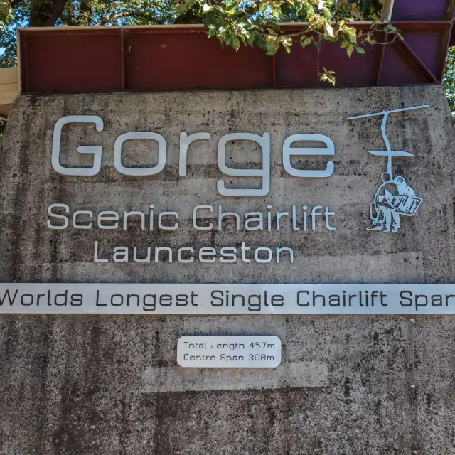 我在朗塞斯頓最珍貴的時光